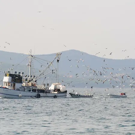 Apartman Croatia Ζαντάρ