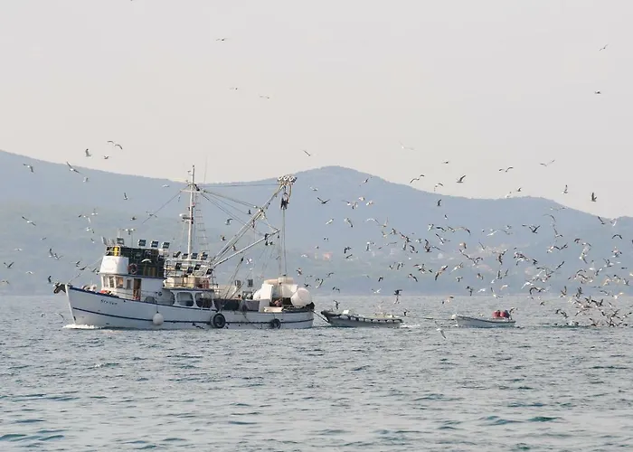 Apartman Croatia Zadar